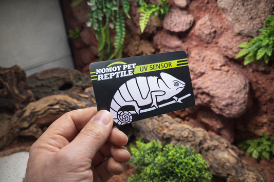 UV Control Card