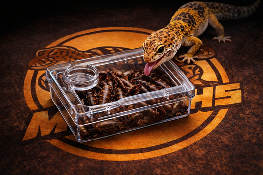 Delta Morphs' Anti-Escape Feeder