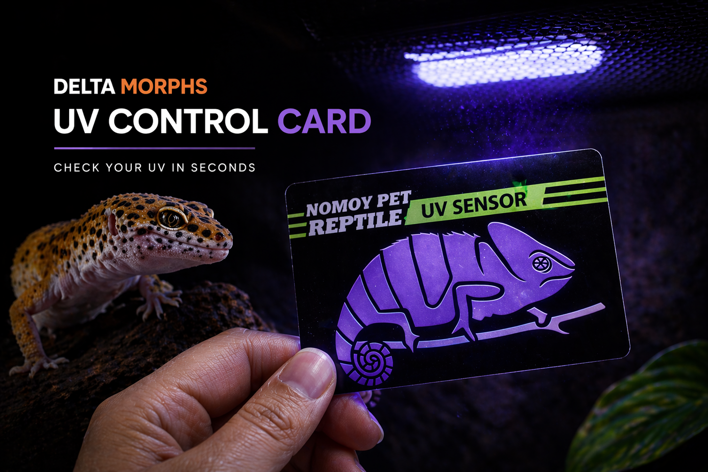 UV Control Card