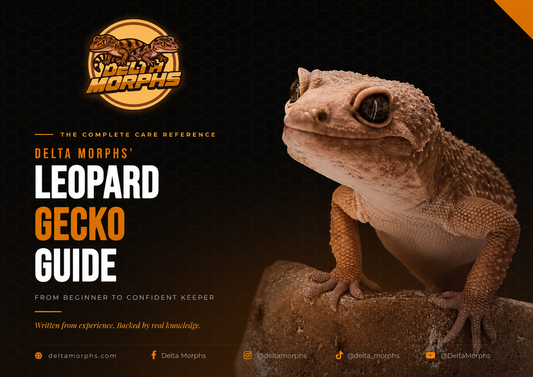 Delta Morphs' Leopard Gecko Guide