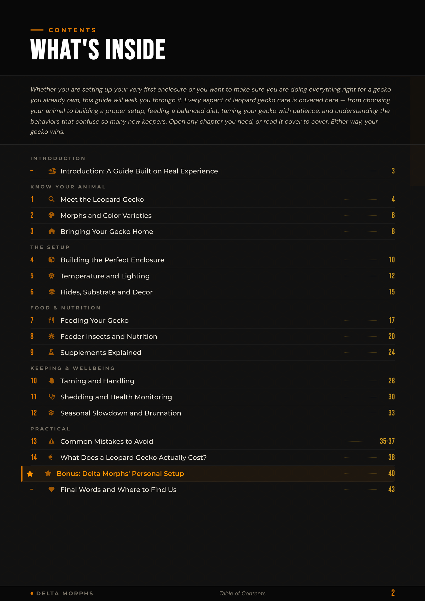 Delta Morphs' Leopard Gecko Guide