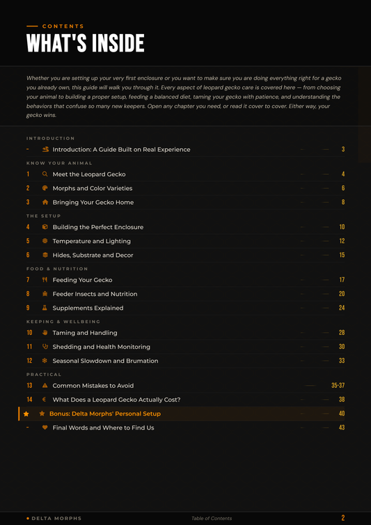 Delta Morphs' Leopard Gecko Guide