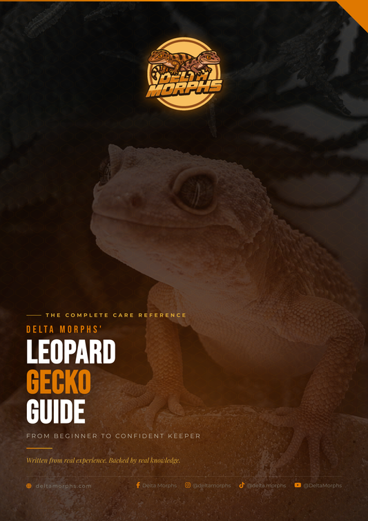 Delta Morphs' Leopard Gecko Guide